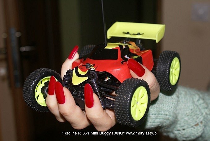 Radline RTX-1 Mini Buggy