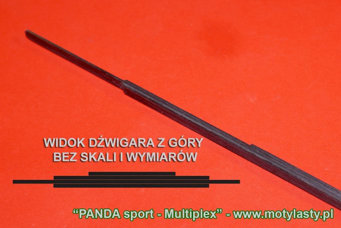 PANDA SPORT MULTIPLEX