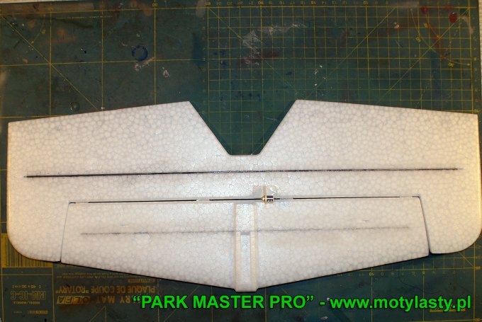 PARK MASTER PRO MPX